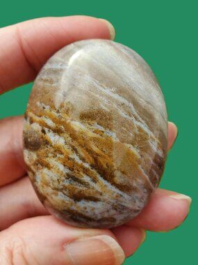 Ocean Jasper Palm Stone (OJ143)